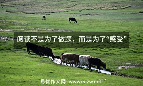 閱讀不是為了做題，而是為了“感受”