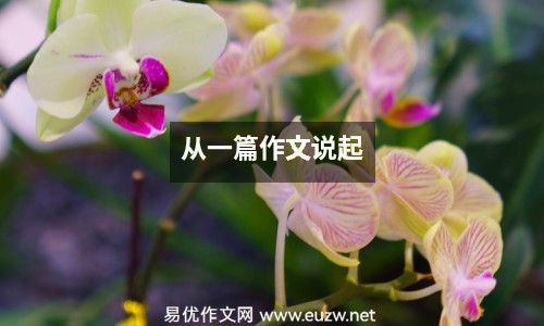 從一篇作文說起