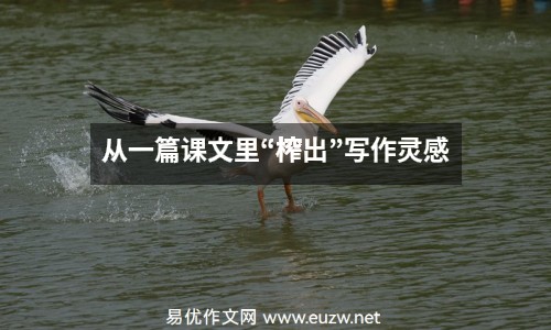 從一篇課文里“榨出”寫作靈感