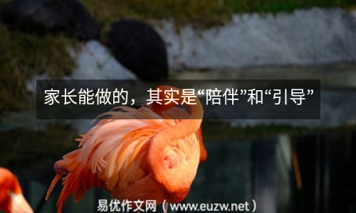 家長(zhǎng)能做的，其實(shí)是“陪伴”和“引導(dǎo)”