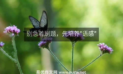 別急著刷題，先培養(yǎng)“語感”