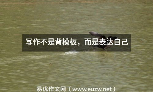 寫(xiě)作不是背模板，而是表達(dá)自己