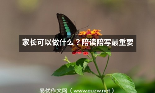 家長可以做什么？陪讀陪寫最重要