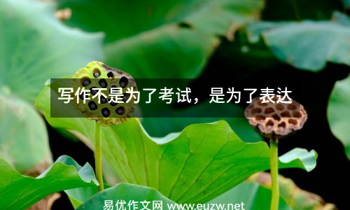 寫作不是為了考試，是為了表達