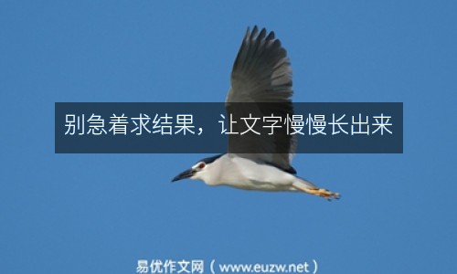 別急著求結果，讓文字慢慢長出來