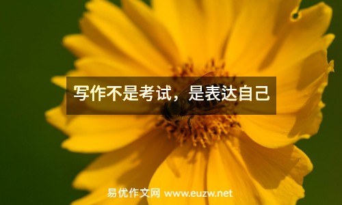 寫作不是考試，是表達(dá)自己