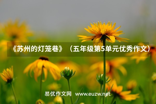 易優(yōu)作文網(wǎng)——《蘇州的燈籠巷》(五年級(jí)第5單元優(yōu)秀作文)(蘇州學(xué)生作文)