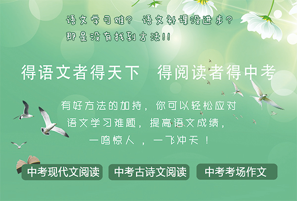 新初三暑假語文閱讀寫作集訓班(A)